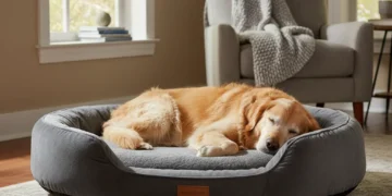 Top Orthopedic Pet Beds 2026: Comfort for Senior U.S. Pets Senior golden retriever resting peacefully on a plush orthopedic pet bed in a sunlit living room.