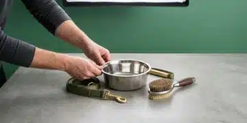 A person's hands arranging essential pet supplies: a gleaming stainless steel bowl, an olive green leash, and a pet brush on a gray concrete surface, emphasizing responsible pet care.