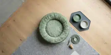 Aerial view of a prepared pet corner with a circular green bed, ceramic bowls, braided leash, and chew toy on a geometric rug, symbolizing a new pet owner's organized start.