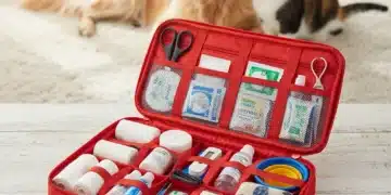 Open pet first aid kit with essential medical supplies